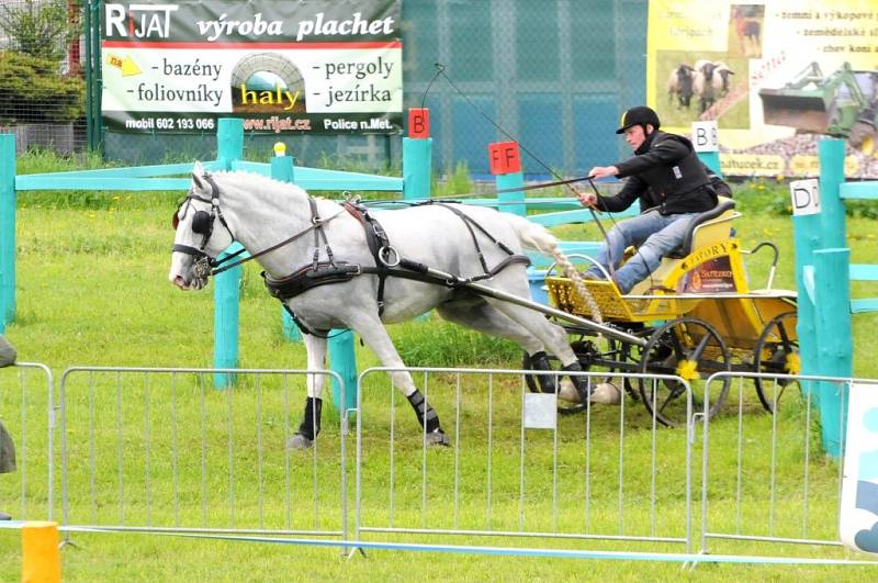 Závody světového poháru koňských spřežení v Polici nad Metují. 