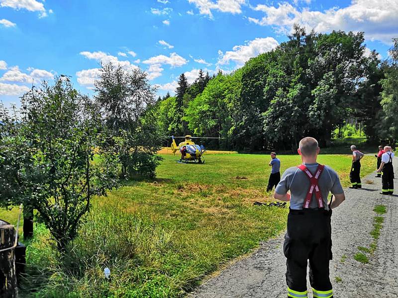 Turistu na Ostaši píchla vosa. Při alergické reakci se mu zastavilo srdce.