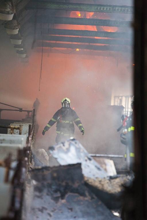 Škodu za zhruba 4,5 milionu korun způsobil včera po poledni požár zemědělské budovy v obci Borová na Náchodsku.