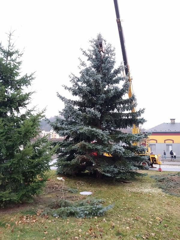 V Náchodě už mají vánoční stromy také postavené.
