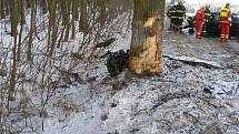 Na hlavním tahu na Broumov v lesním průsmyku v lokalitě Pasa vyjel řidič ze silnice a čelně narazil do stromu. 