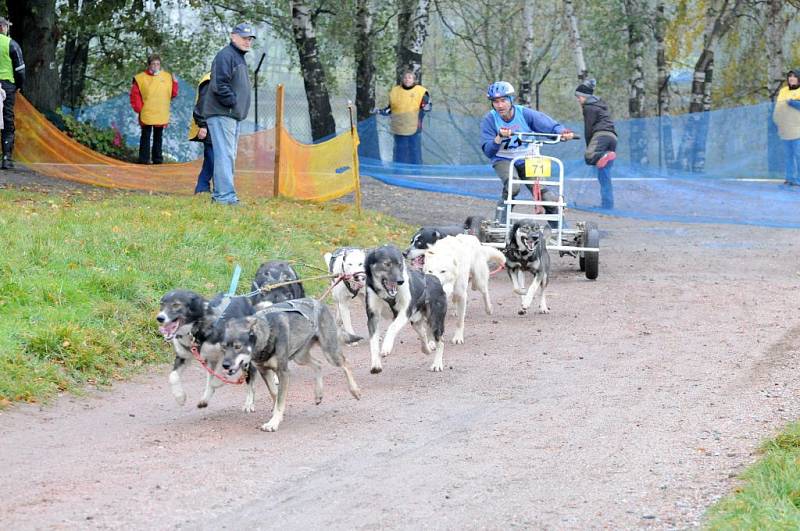 MUSHEŘI si jubilejní 20. ročník závodů psích spřežení na Broďáku užívali.