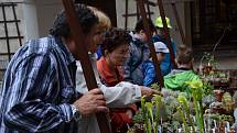 Na zámku v Novém Městě nad Metují byly od pátku 10. července do neděle 12. července k vidění květiny rozmanitých tvarů a názvů. Pěstitelé zde vystavovali kaktusy, sukulenty, achimenesy, masožravé i další rostliny. Zájem byl také o prodej malých výpěstků.