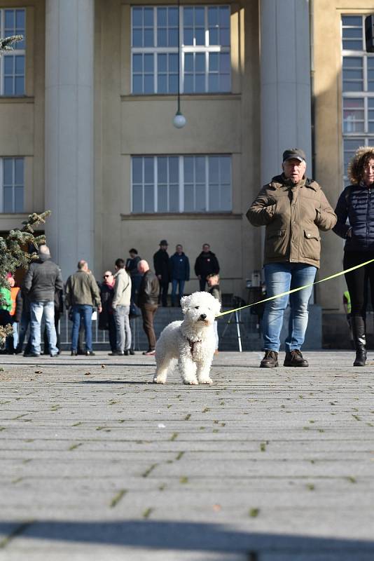 Na hronovském náměstí lidé protestovali proti vládním opatřením okolo koronavirové situace.  Hlavní slovo měl občanský aktivista David Tesař, který vybízel ke změně strachu a nepřátelství na prosperitu a radost. Výzvu k nasazení roušek takřka nikdo neresp