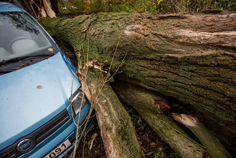 V obci Vršovka nedaleko Nového Města nad Metují spadl vzrostlý strom na dům, poškodil i zaparkovaný automobil.