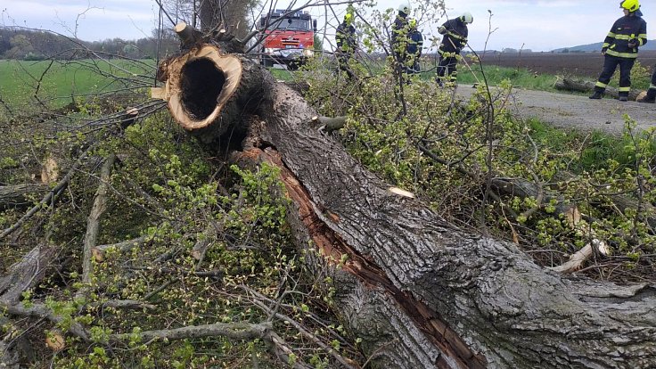 Po čtvrteční bouřce na Náchodsku hořel strom u silnice