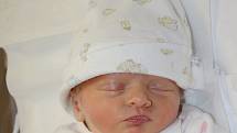 KAROLÍNA JANATOVÁ se narodila 4. dubna 2012 v 7:10 hodin s váhou 2280 gramů a délkou 45 centimetrů. S rodiči Petrou Janatovou a Alešem Šrollem mají domov v Náchodě.   