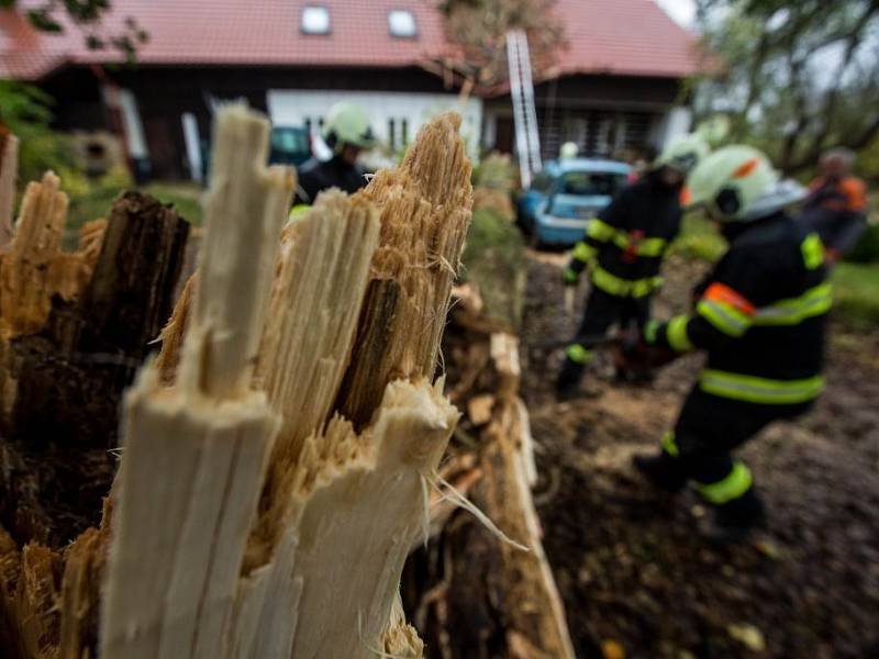 V obci Vršovka nedaleko Nového Města nad Metují spadl vzrostlý strom na dům, poškodil i zaparkovaný automobil.