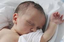 VOJTÍŠEK OLEKŠÁK se narodil ve středu 27. července 2016 brzy ráno, a to v 6:21 hodin. Chlapeček vážil 3,10 kilogramů a měřil 50 centimetrů. S maminkou Leonou a tatínkem Tomášem brzy pojedou z nemocnice domů, tedy do Šestajovic.