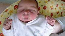 VOJTĚCH POP  se narodil 8. září 2011 v 17:50 hodin s délkou 47 cm a váhou 2830 g. S rodiči Karolínou a Ivanem, a se sourozenci Dominikou (20), Adélou (16) a Ondřejem (9), bydlí ve Dvoře Králové. 