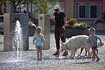 V Hronově jsou vodní sloupce často místem pro dětské hrátky. Osvěžují se zde ale i dospělí či psi.