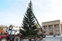 Instalace vánočního stromu na hronovském náměstí.