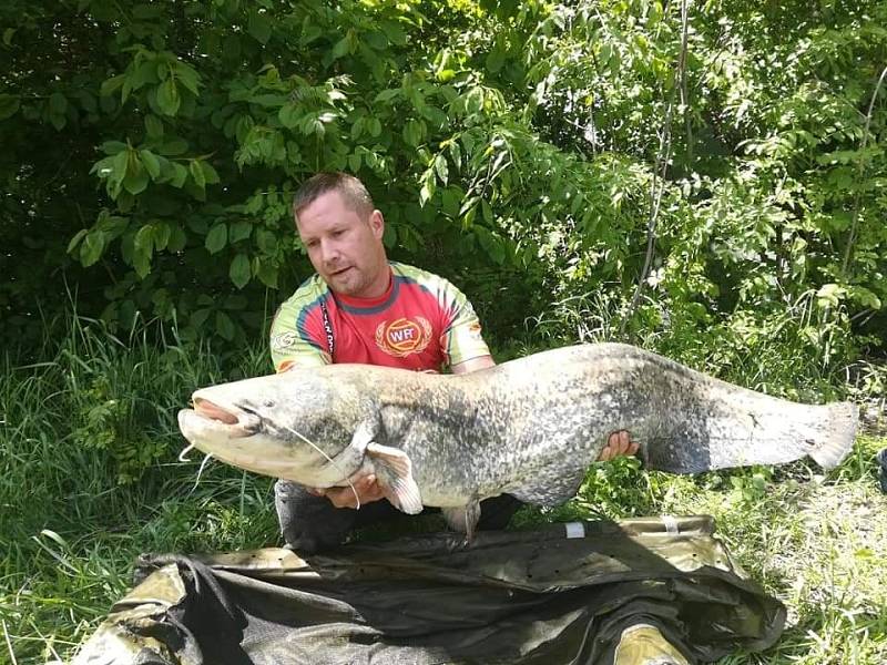 Václav Petr z Dobrušky a jeho úlovky z "východočeského moře" Rozkoš.