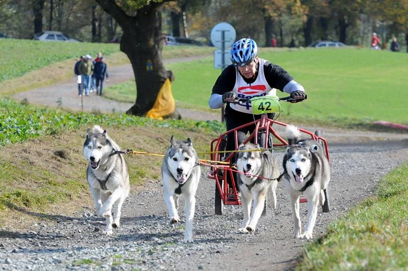 NA OSMNÁCTÝ ROČNÍK evropského poháru závodů psích spřežení přijela stovka musherů a téměř tři stovky psů. 