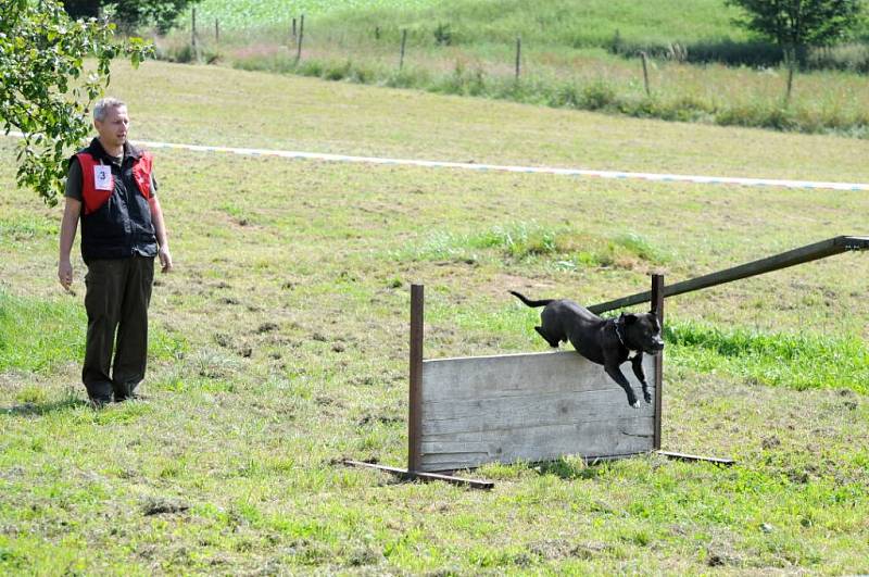 MEZINÁRODNÍ OBRANÁŘSKÝ ZÁVOD prověřil souhru psovodů a jejich psích mazlíčků.