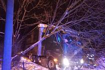 Strom rostoucí u cesty ve Velkém Dřevíči spadl na kamion.