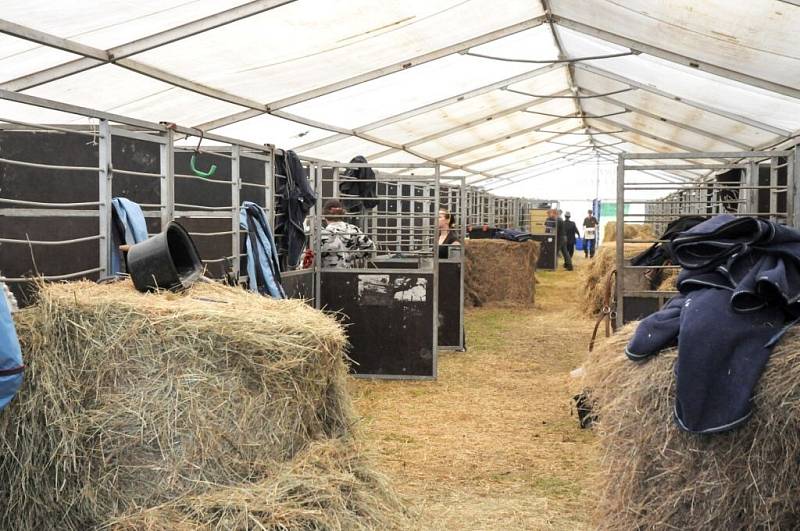 ZÁVODY SVĚTOVÉHO POHÁRU v jízdě koňských spřežení hostí do neděle závodiště Jana Čermáka v Polici nad Metují. 