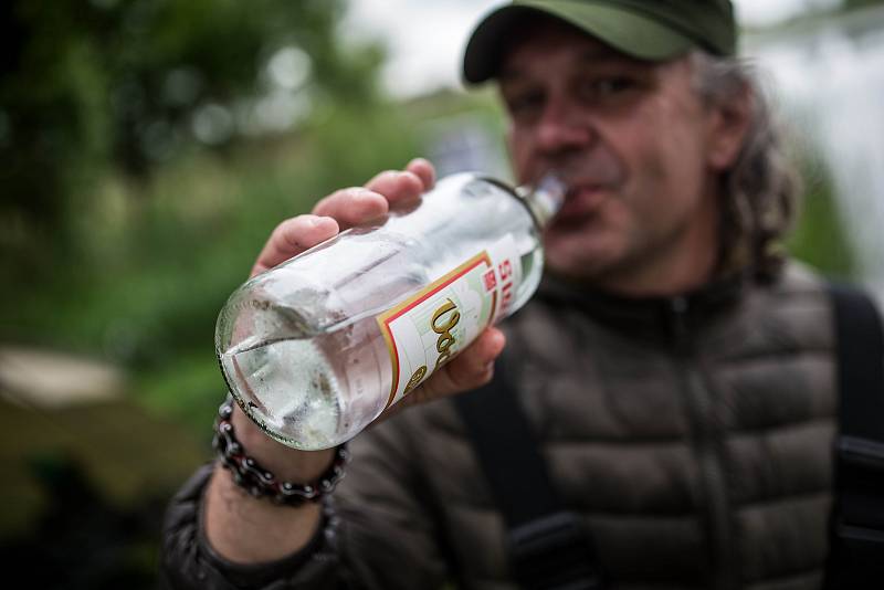 Czech Carp Cup na rybníku Brodský nedaleko Červeného Kostelce.