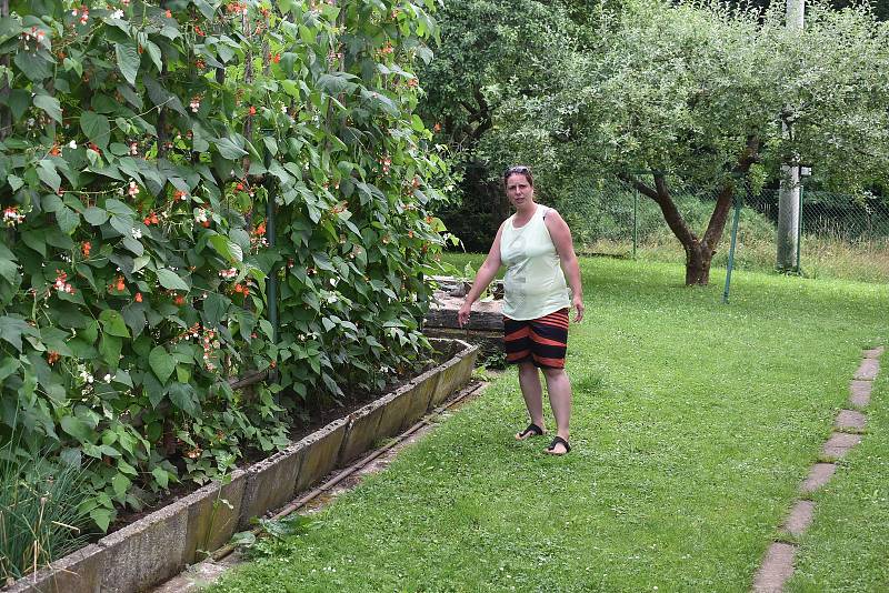 "Tady někde to bylo," ukazuje Sylva Seidlmanová místo na zahradě u popínavých fazolí, kde zmije uštkla jejího syna.