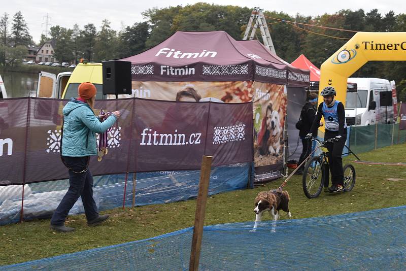 Závody psích spřežení uspořádal v okolí autokempu Brodský červenokostelecký Musher club Metuje. Na startující čekal po dva dny 5,32 km dlouhý okruh. Závěr patřil dětskému canicrossu. Foto: Deník/Jiří Řezník