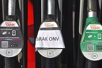 Ceny na  čerpacích stanicích stoupají stejně jako u nás každým dnem. navíc se mnozí čeští řidiči setkávají s tím, že stojany nefungují nebo nemohou platit kartou.