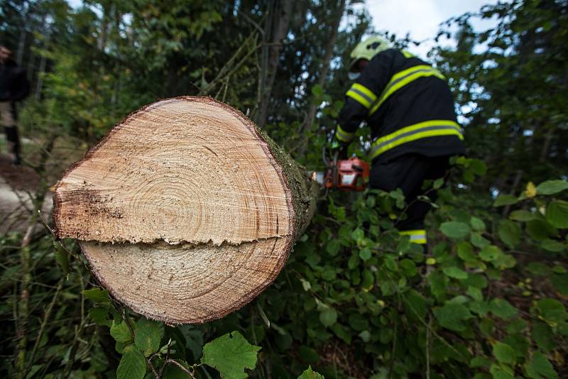 Královéhradecký kraj zasáhla vichřice na horách napadl sníh a v nížinách silný vítr lámal stromy.