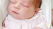 ADÉLA SUKOVÁ se narodila 4. října 2012 ve 12:34 hodin s váhou 3740 gramů a délkou 50 centimetrů. S rodiči Kateřinou Růžičkovou a Jiřím Sukem mají domov v Červeném Kostelci.   