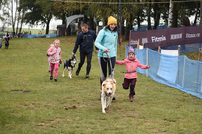 Závody psích spřežení uspořádal v okolí autokempu Brodský červenokostelecký Musher club Metuje. Na startující čekal po dva dny 5,32 km dlouhý okruh. Závěr patřil dětskému canicrossu. Foto: Deník/Jiří Řezník