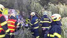 Spadlou větev u autobusové zastávky odstraňovali hasiči ve spolupráci s TS města Náchoda.