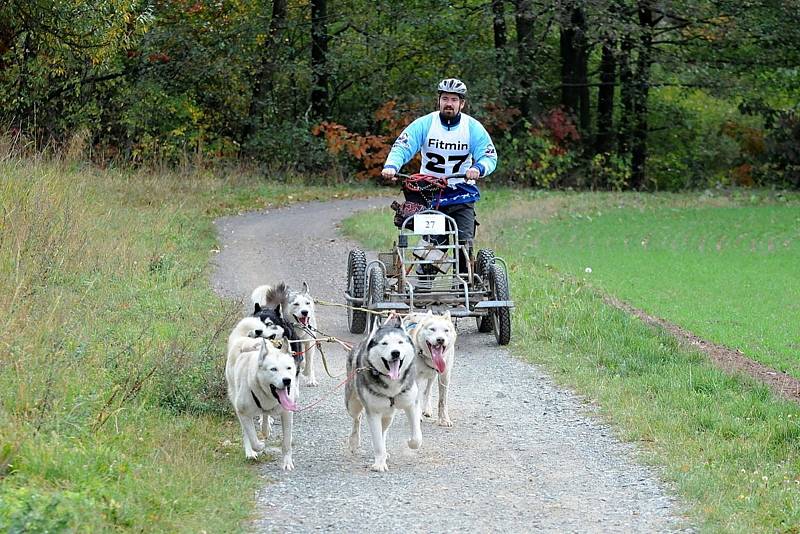 V okolí rybníka Brodský závodili musheři.