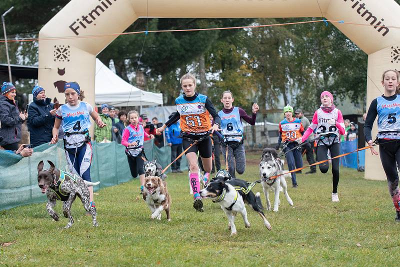 Závody psích spřežení uspořádal v okolí autokempu Brodský červenokostelecký Musher club Metuje. Na startující čekal po dva dny 5,32 km dlouhý okruh. Závěr patřil dětskému canicrossu. Foto: Katka Tůmová