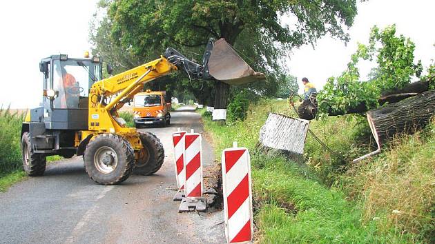 Při vyvrácení strom vylomil i část krajnice na jejímž okraji rostl. 