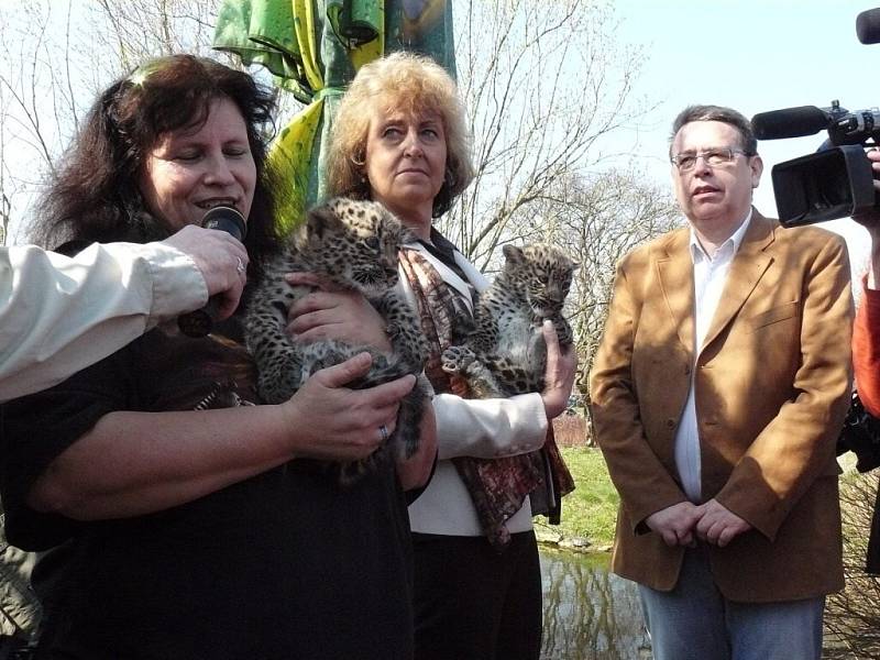 Zleva ředitelka zoo Dana Holečková a starostka Dvora Králové nad Labem Edita Vaňková.