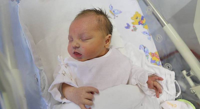 NIKOLA ŠEDIVÁ ze Zdoňova se narodila 8. října 2017 v 5.59 hodin. Holčička vážila 3335 gramů a měřila 50 centimetrů. Rodiče Andrea Křížová a Zdenek Šedivý mají doma ještě čtrnáctiměsíčního chlapečka Radimka.