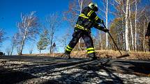 Spadlý strom v Novém Městě nad Metují. Od pondělního odpoledne do dnešního rána zasahovaly profesionální i dobrovolné jednotky hasičů v Královéhradeckém kraji v souvislosti se silným větrem u 30 událostí. Nejvíce práce mají jednotky na Hradecku, Rychnovsk