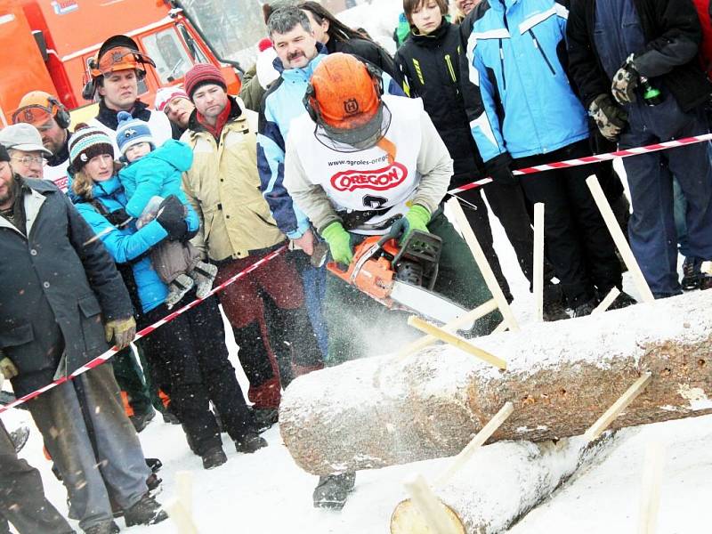 Soutěžní klání Dřevorubec roku 2013 v Adršpachu.