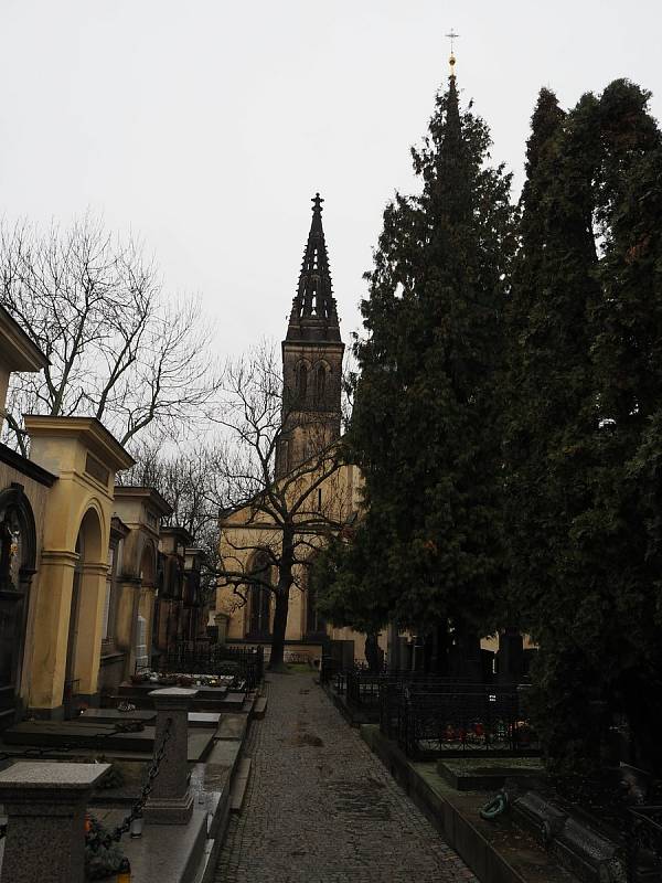 V pondělí 24. ledna uplynulo 160 let od posledního rozloučení s Boženou Němcovou.
