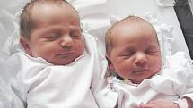 DVOJČÁTKA JAKUB A ANIČKA JÍLKOVI se narodila 26. ledna 2010. Jakub v 0:56 hodin, Eliška o minutu později. Jakub po porodu vážil 3390 gramů a měřil 50 centimetrů. Anička se narodila s váhou 2680 gramů a délkou 47 centimetrů.