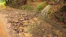 Hasiči museli  uzavřít silnici z Nového Města do Pekelského údolí. Přívalové deště zde v několika místech ucpaly propusti potoku a na silnici tak vyplavily množství bahna, štěrku, větví a kamenů. 