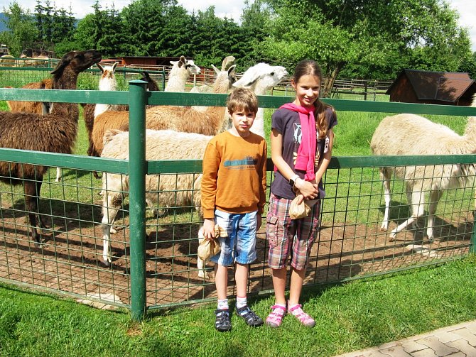 Sobota 26. června se stala pro farmu Wenet v Broumově příležitostí, jak pomoci Zoologické zahradě v Hodoníně, která byla postižena tornádem.