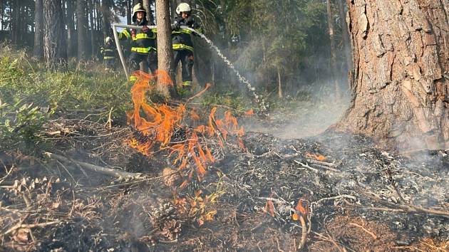 Tři jednotky hasičů likvidovaly v pondělí krátce po 17. hodině požár lesní paseky v katastru části Pavlišov.