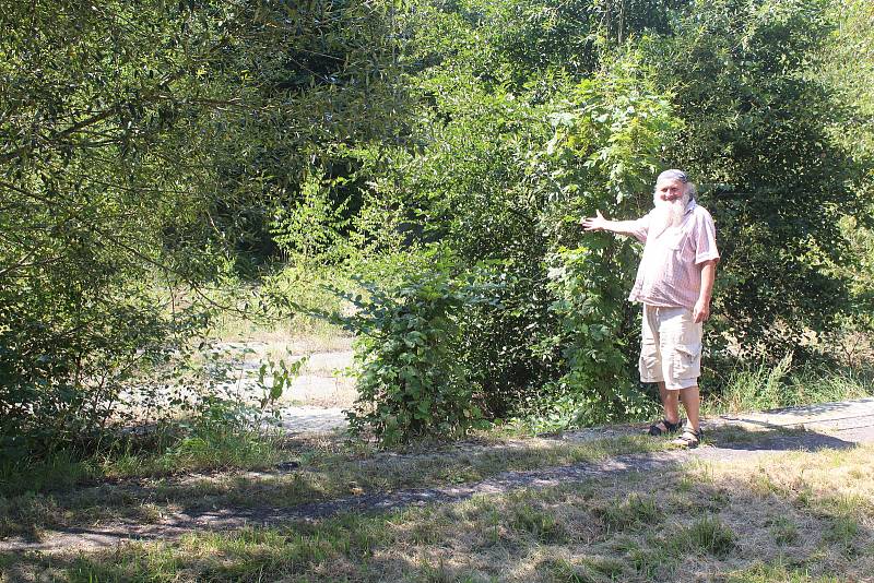 "Je to zmar," řílá Jiří Podolsý uprostře bývalého novoměstského koupaliště. To nyní připomíná spíše džungli.