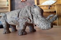 V polovině února se vydal z Velkého Poříčí do Safari parku ve Dvoře Králové nad Labem keramický nosorožec. Vystavený bude v kongresovém centru a je jakýmsi pomníkem vyhynulým druhům.