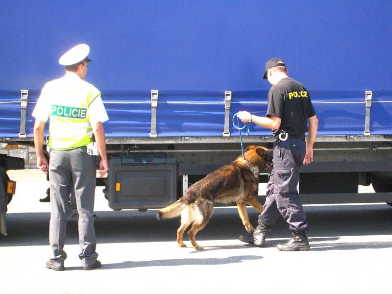 Na bývalých hranicích s Polskem v Náchodě – Bělovsi včera policisté a celníci mimo jiné kontrolovali doklady řidičů a za pomocí psa pátrali po hledaných osobách.