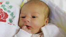WILLIAM KAFKA je z Náchoda. Narodil se 3. prosince 2017 ve 3,07 hodin a jeho míry byly 3460 gramů a 49 centimetrů. Novopečení rodiče se jmenují  Tereza Kafková a Sergio Costa.