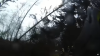 VIDEO: Hasiči likvidovali popadané stromy. Před dalšími museli uskakovat