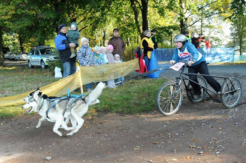 Musheři závodili v okolí kempu Brodský.