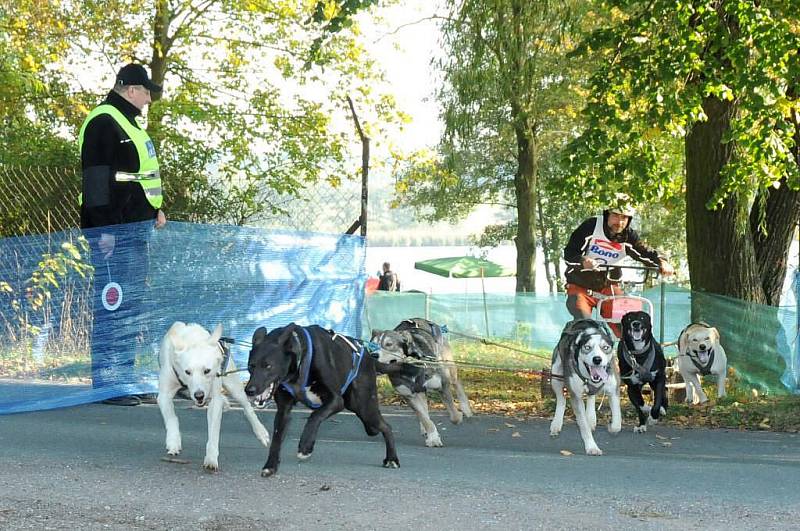 Musheři závodili v okolí kempu Brodský.