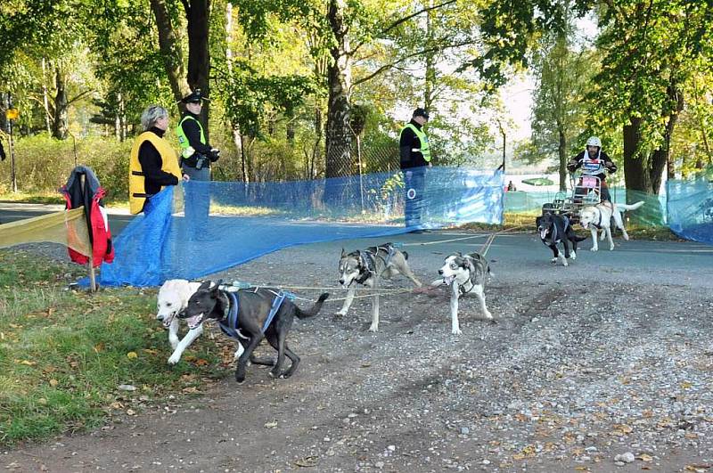 Musheři závodili v okolí kempu Brodský.