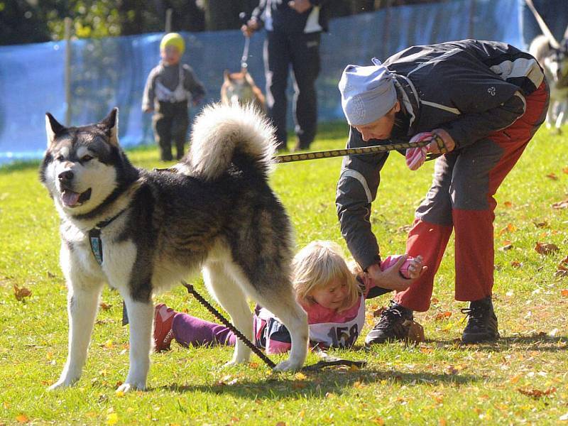 Musheři závodili v okolí kempu Brodský.